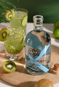 Kiwi Gin Fizz cocktail with fresh kiwi, lime and Heart of Scotland Original London Dry Gin
