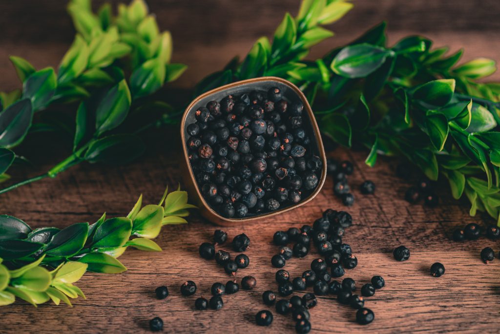Juniper berries used in Heart of Scotland Scottish gin distilled in Clackmannan